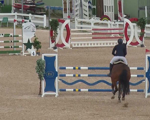 Reitturnier Kreuth/Opf. 2019