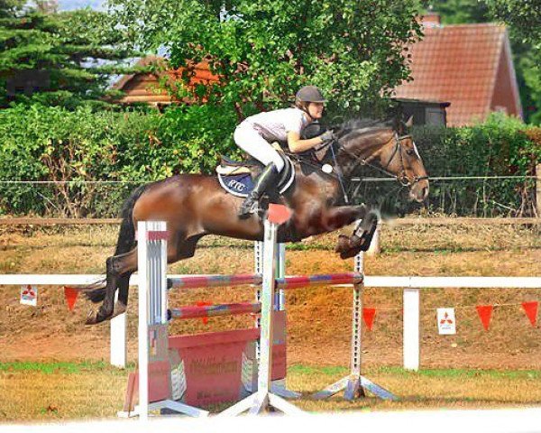 broodmare Fusion (Hanoverian, 1999, from Falkenstern II)