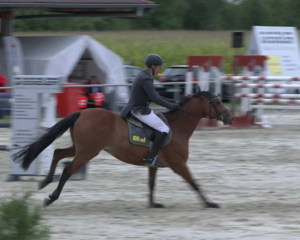 Reitturnier Appelhülsen 2019