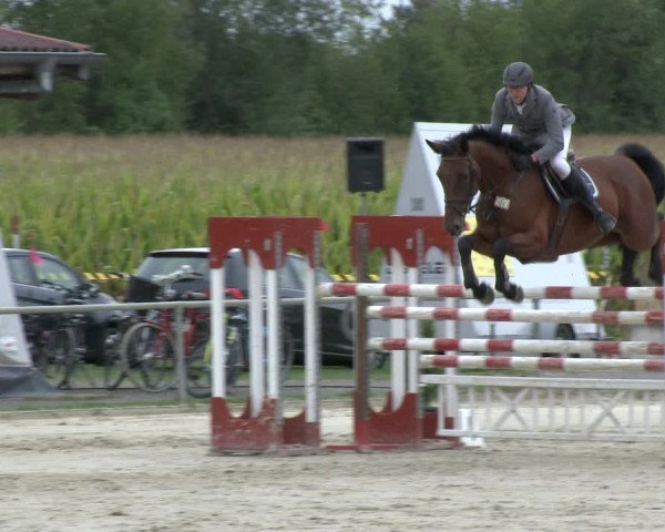 Reitturnier Appelhülsen 2019