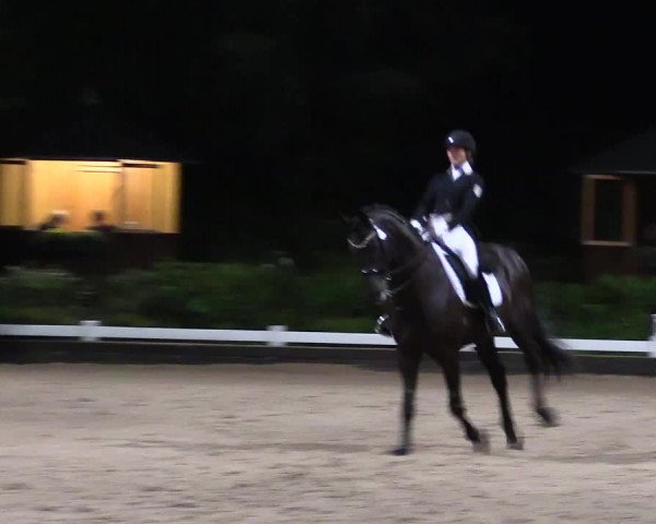 Reitturnier Mettmann - Reitanlage Löckenhoff 2019
