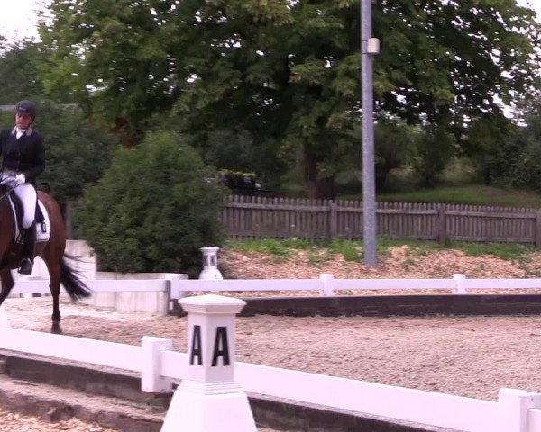 Reitturnier Mettmann - Reitanlage Löckenhoff 2019