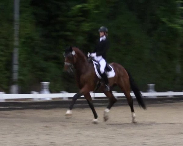 Reitturnier Mettmann - Reitanlage Löckenhoff 2019