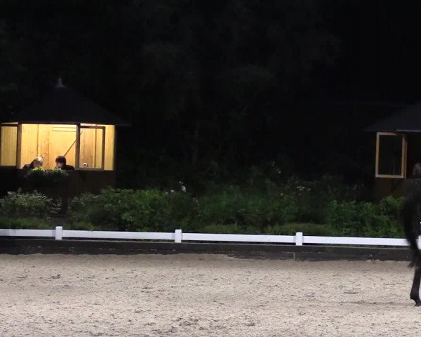 Reitturnier Mettmann - Reitanlage Löckenhoff 2019
