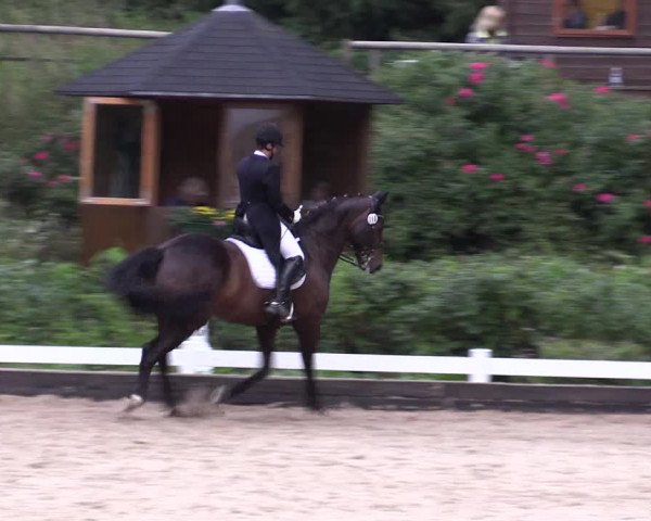 Reitturnier Mettmann - Reitanlage Löckenhoff 2019