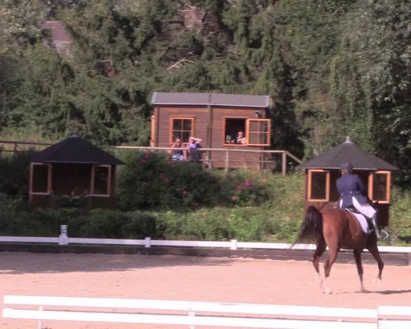 Reitturnier Mettmann - Reitanlage Löckenhoff 2019