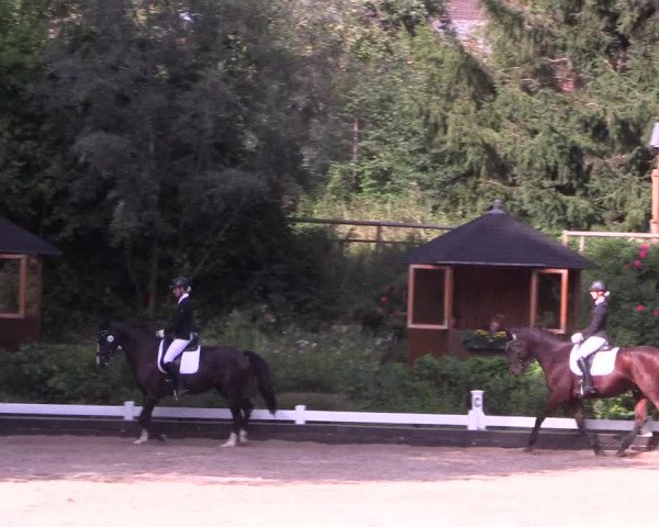 Reitturnier Mettmann - Reitanlage Löckenhoff 2019