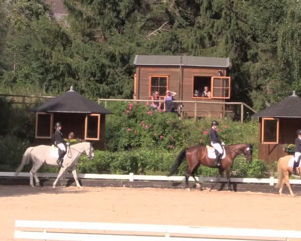 Reitturnier Mettmann - Reitanlage Löckenhoff 2019