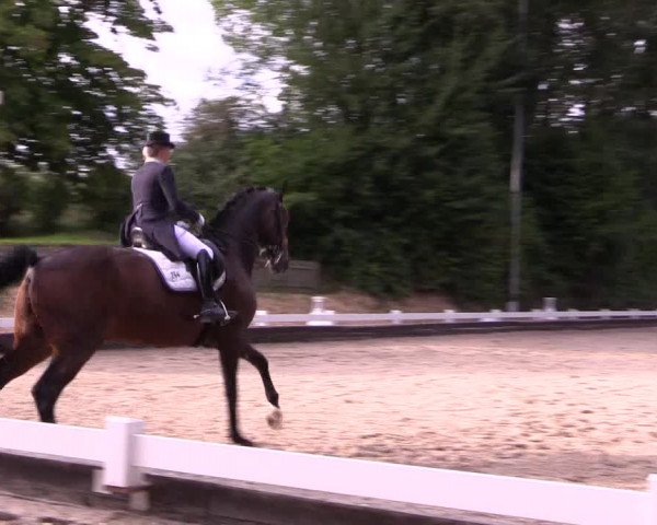 Reitturnier Mettmann - Reitanlage Löckenhoff 2019