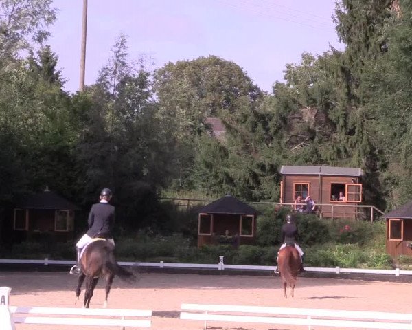 Reitturnier Mettmann - Reitanlage Löckenhoff 2019