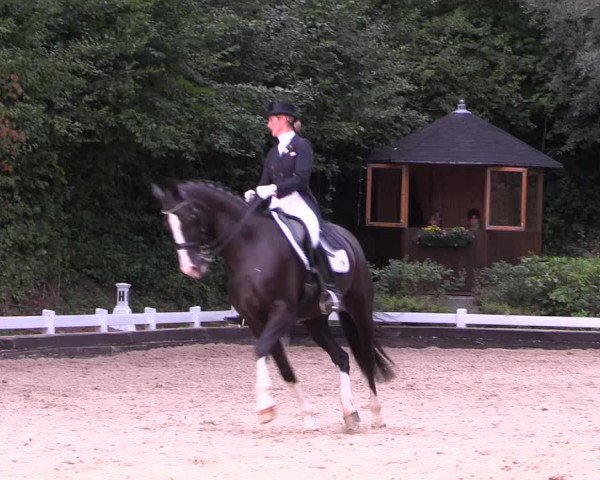 Reitturnier Mettmann - Reitanlage Löckenhoff 2019