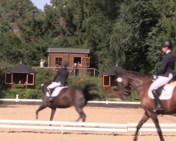 Reitturnier Mettmann - Reitanlage Löckenhoff 2019