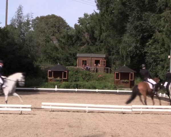 Reitturnier Mettmann - Reitanlage Löckenhoff 2019