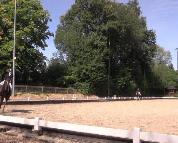 Reitturnier Mettmann - Reitanlage Löckenhoff 2019