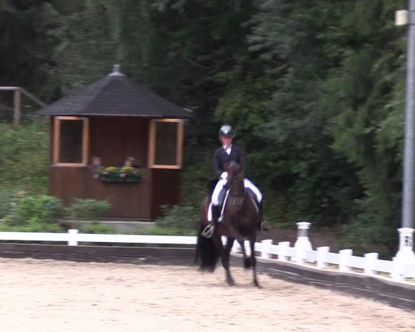 Reitturnier Mettmann - Reitanlage Löckenhoff 2019