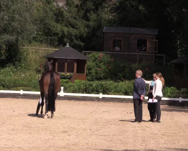 Reitturnier Mettmann - Reitanlage Löckenhoff 2019