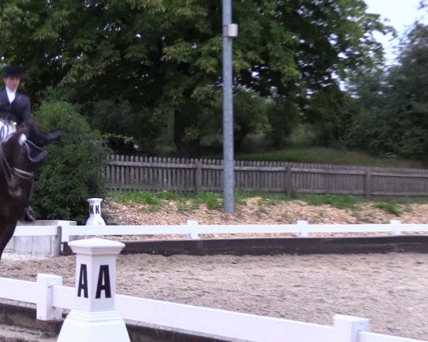 Reitturnier Mettmann - Reitanlage Löckenhoff 2019