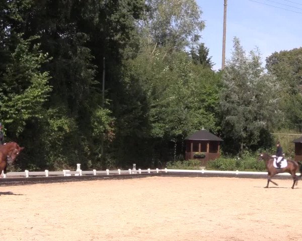 Reitturnier Mettmann - Reitanlage Löckenhoff 2019