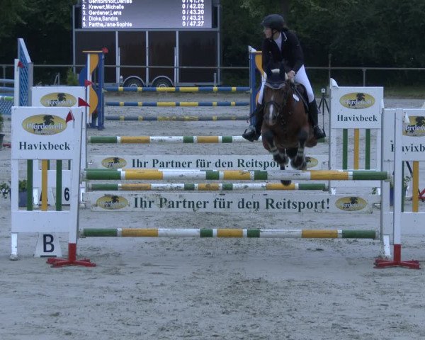 Reitturnier Appelhülsen 2019