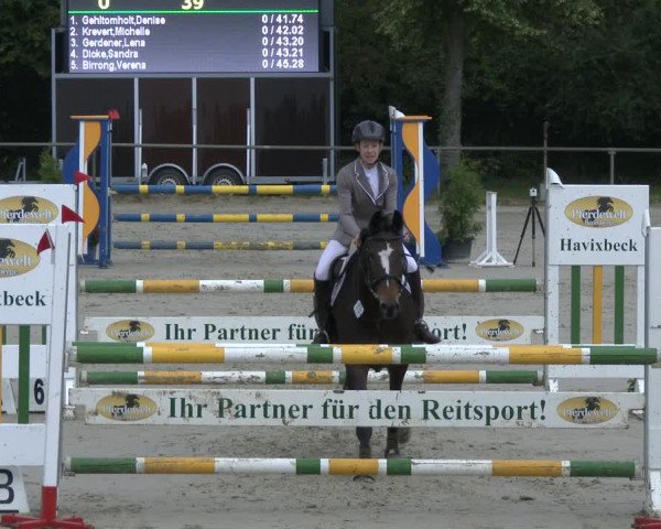 Reitturnier Appelhülsen 2019