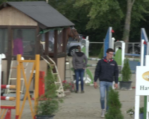 Reitturnier Appelhülsen 2019