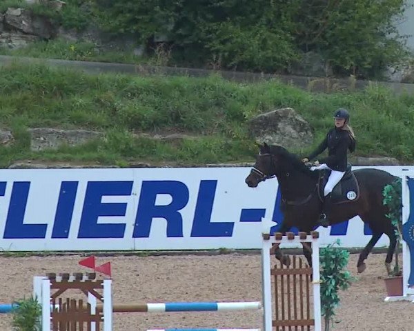 Reitturnier Kreuth/Opf. 2019