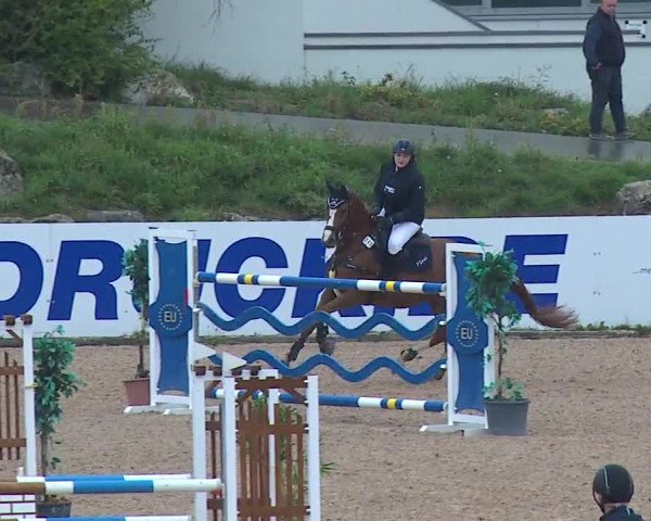 Reitturnier Kreuth/Opf. 2019