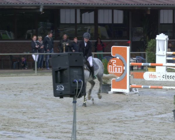 Reitturnier Appelhülsen 2019