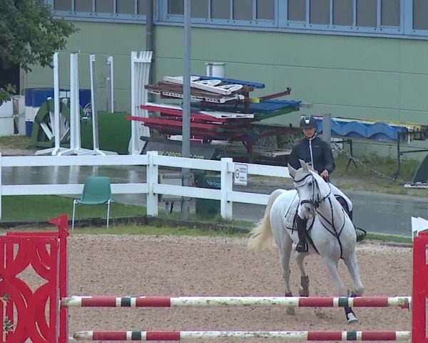 Reitturnier Kreuth/Opf. 2019