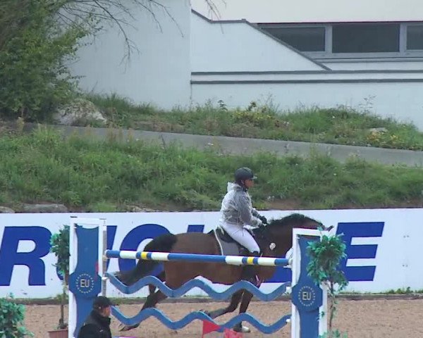 Reitturnier Kreuth/Opf. 2019