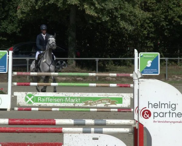 Reitturnier Appelhülsen 2019