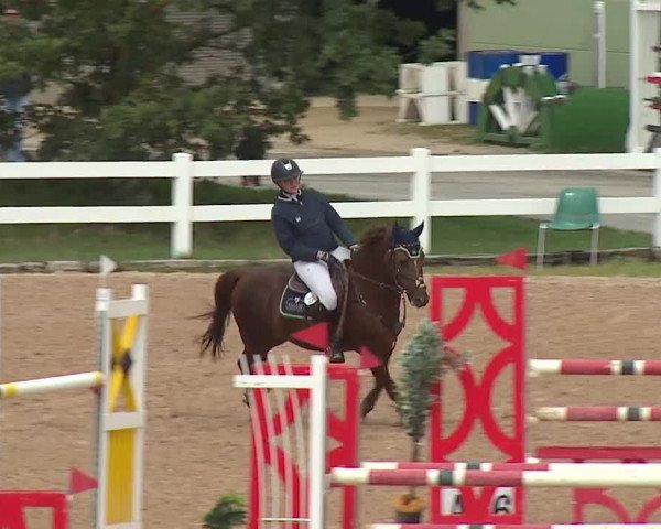 Reitturnier Kreuth/Opf. 2019