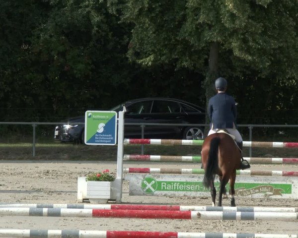 Reitturnier Appelhülsen 2019
