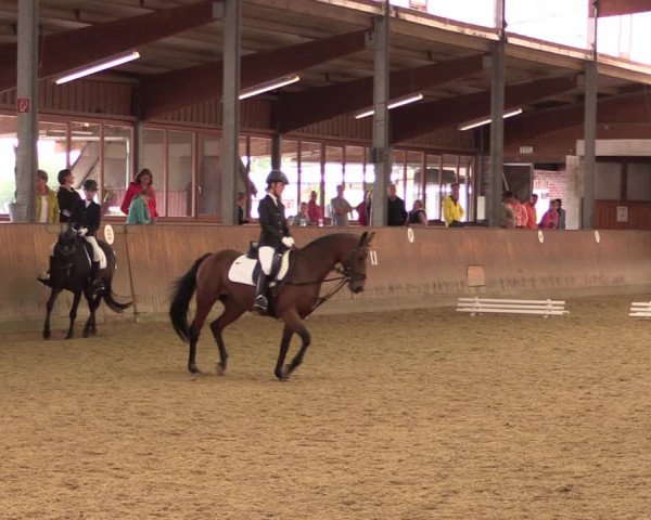 Reitturnier Appelhülsen 2019