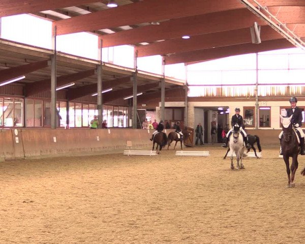 Reitturnier Appelhülsen 2019