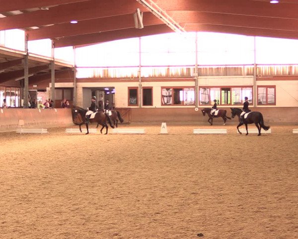 Reitturnier Appelhülsen 2019