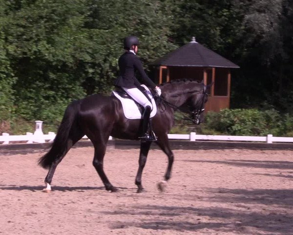 Reitturnier Mettmann - Reitanlage Löckenhoff 2019