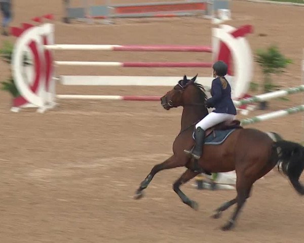 Reitturnier Kreuth/Opf. 2019