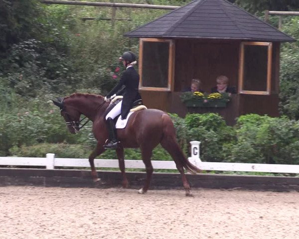 Reitturnier Mettmann - Reitanlage Löckenhoff 2019