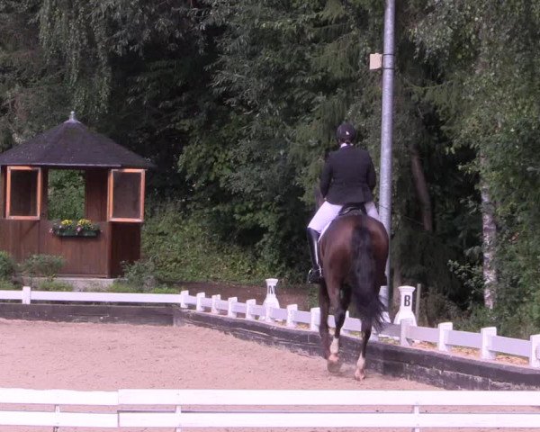 Reitturnier Mettmann - Reitanlage Löckenhoff 2019