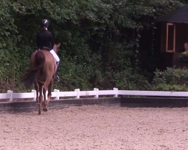 Reitturnier Mettmann - Reitanlage Löckenhoff 2019
