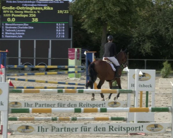 Reitturnier Appelhülsen 2019