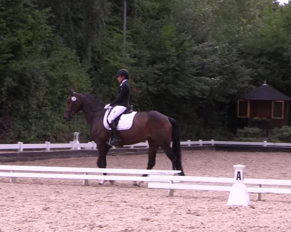 Reitturnier Mettmann - Reitanlage Löckenhoff 2019