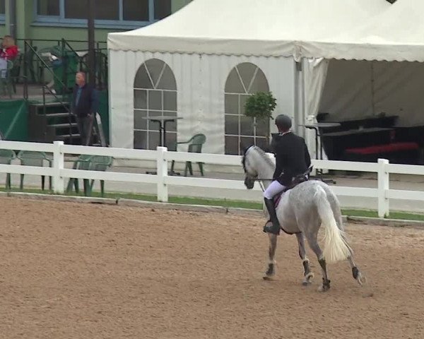 Reitturnier Kreuth/Opf. 2019