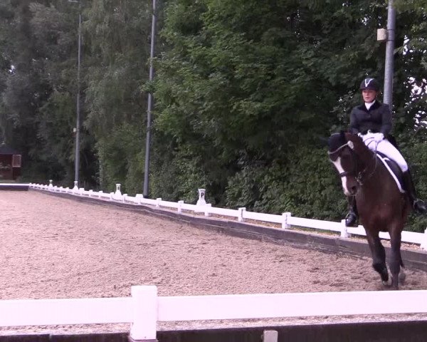 Reitturnier Mettmann - Reitanlage Löckenhoff 2019
