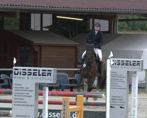 Reitturnier Appelhülsen 2019