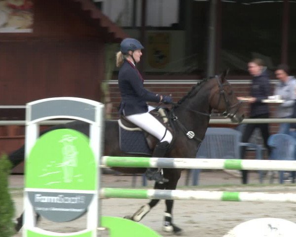Reitturnier Appelhülsen 2019