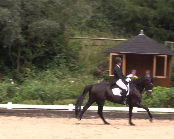 Reitturnier Mettmann - Reitanlage Löckenhoff 2019