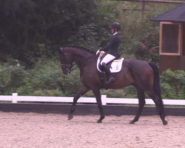 Reitturnier Mettmann - Reitanlage Löckenhoff 2019