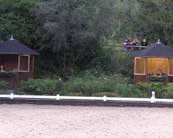 Reitturnier Mettmann - Reitanlage Löckenhoff 2019